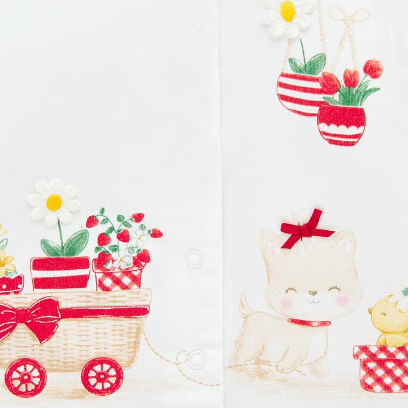 Φορμακι Μακρυ Με Σχεδιο