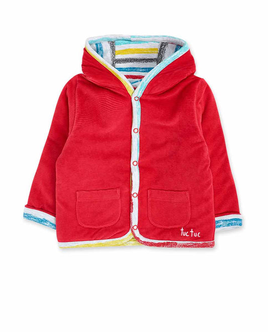 Αναστρέψιμη Πάρκα