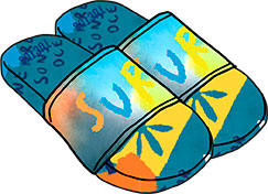 Flip Flops