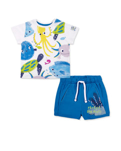 Jersey T-Shirt And Bermudas