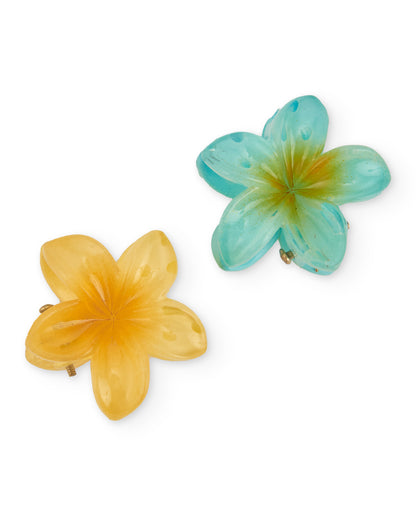 2 Hair Pin Set