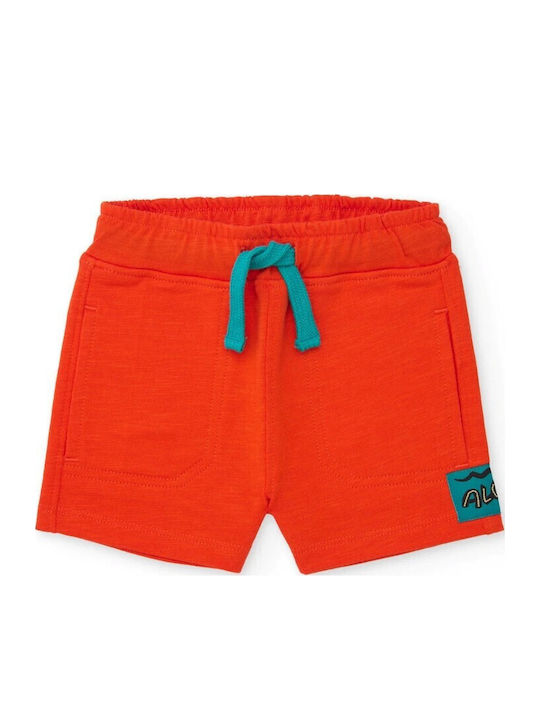 Jersey T-Shirt And Bermudas