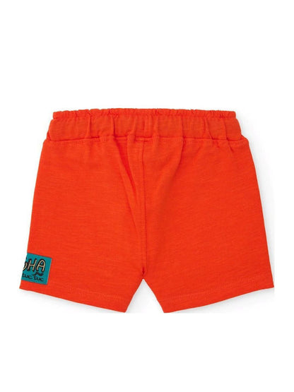 Jersey T-Shirt And Bermudas